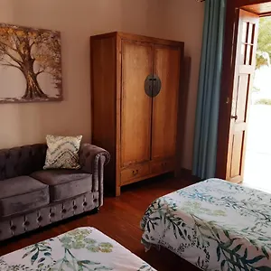 Ferienhaus Dragos